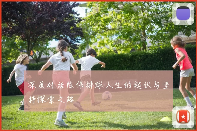 深度对话陈伟排球人生的起伏与坚持探索之路