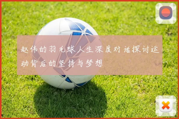 赵伟的羽毛球人生深度对话探讨运动背后的坚持与梦想