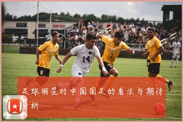 足球明星对中国国足的看法与期待分析
