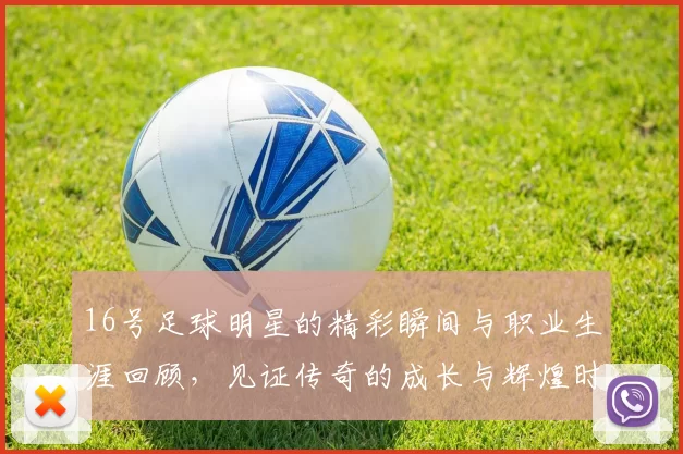 16号足球明星的精彩瞬间与职业生涯回顾，见证传奇的成长与辉煌时刻