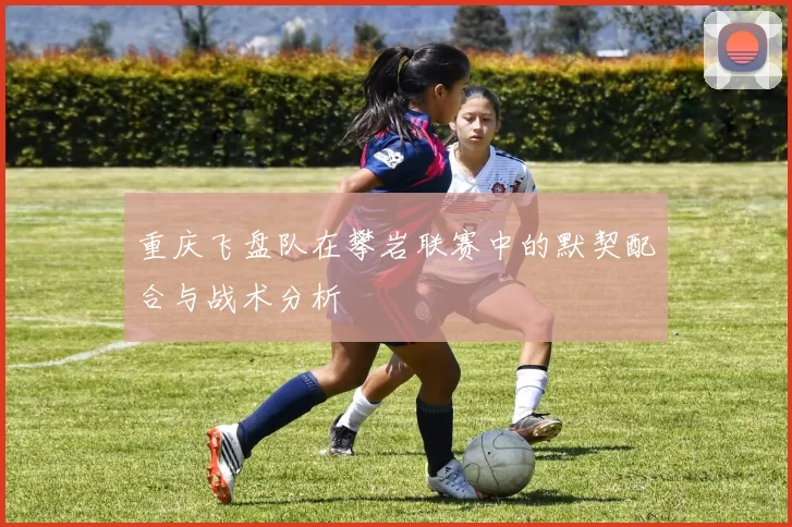 重庆飞盘队在攀岩联赛中的默契配合与战术分析