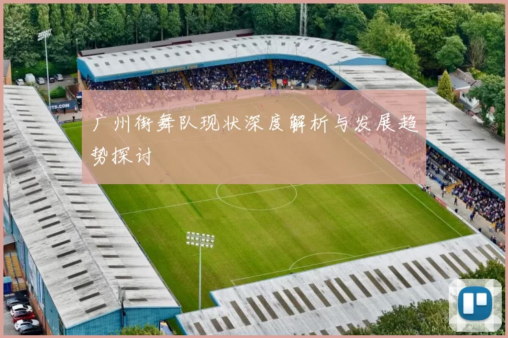 广州街舞队现状深度解析与发展趋势探讨