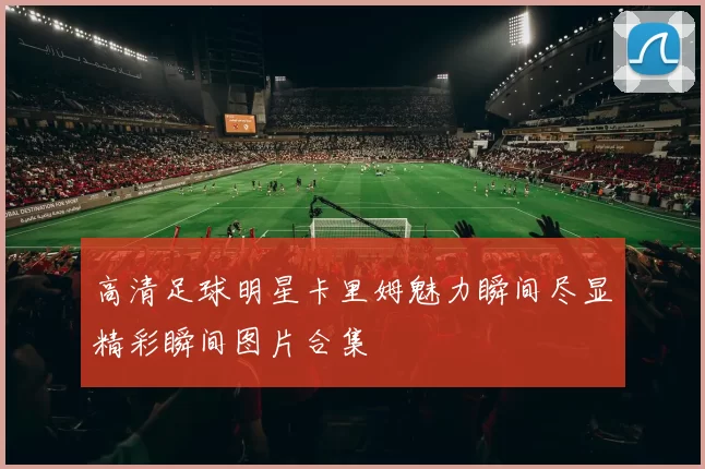 高清足球明星卡里姆魅力瞬间尽显精彩瞬间图片合集