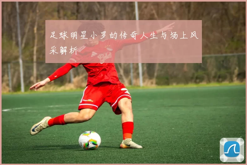 足球明星小罗的传奇人生与场上风采解析