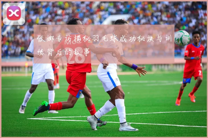 张娜专访揭秘羽毛球成功秘诀与训练背后的故事