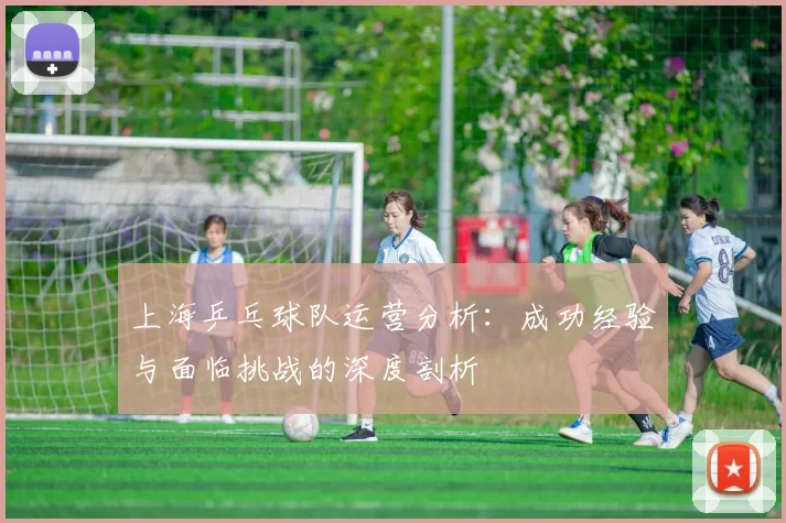 上海乒乓球队运营分析：成功经验与面临挑战的深度剖析