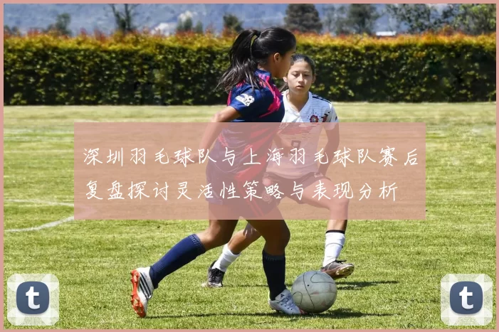 深圳羽毛球队与上海羽毛球队赛后复盘探讨灵活性策略与表现分析
