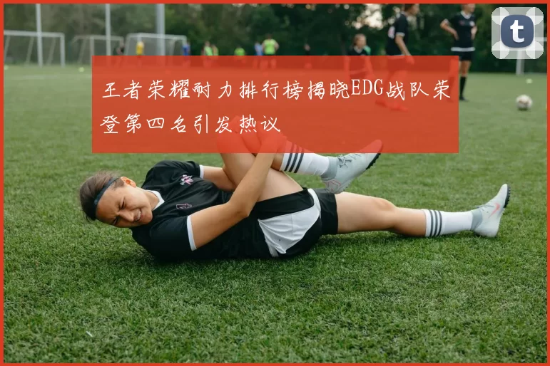王者荣耀耐力排行榜揭晓EDG战队荣登第四名引发热议