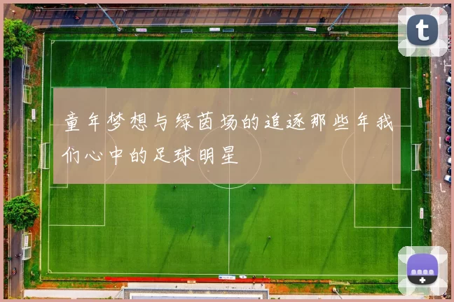 童年梦想与绿茵场的追逐那些年我们心中的足球明星