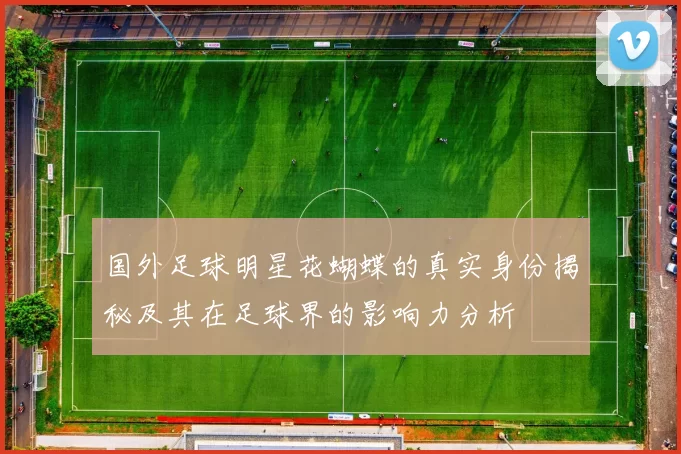 国外足球明星花蝴蝶的真实身份揭秘及其在足球界的影响力分析