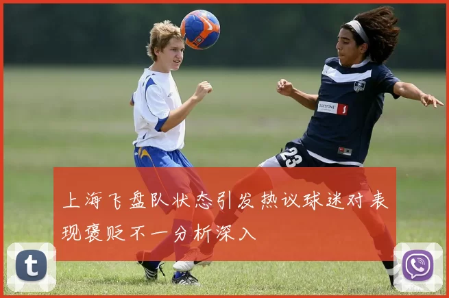 上海飞盘队状态引发热议球迷对表现褒贬不一分析深入